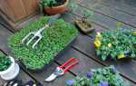 Весенние работы в саду: как ухаживать за цветами, кустами и газоном