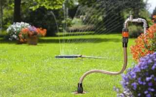 Системы полива — легкий и удобный полив сада