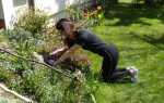 Как работать в саду, чтобы избежать болей в спине
