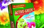 Эффективные стимулирующие-питательные таблетки Active-Green