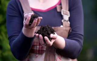 Как сделать ценный компост и ускорить процесс компостирования