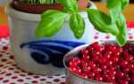 Красная смородина — свойства, уход, выращивание