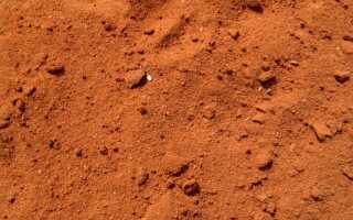 Песчаная почва — как это распознать?
