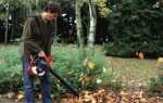 Осенняя уборка в саду. Как бороться с листьями