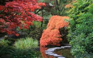 Как настроить японский сад
