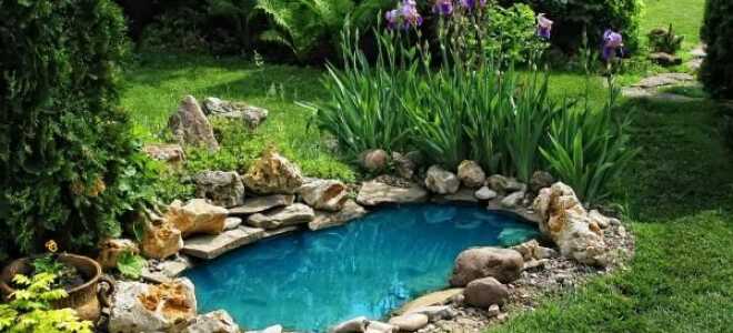Водяная яма в домашнем саду — как построить ее из бетона