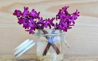 Красивые весенние украшения: цветы в горшках и вазах