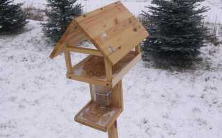 Как построить кормушку для птиц