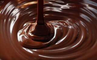 Физалис в шоколаде