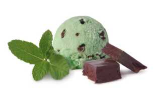 Шоколадно-мятное мороженое