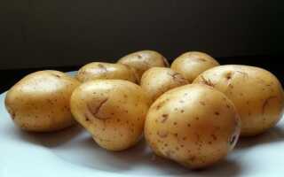 Соланина — яд, спрятанный в картофеле