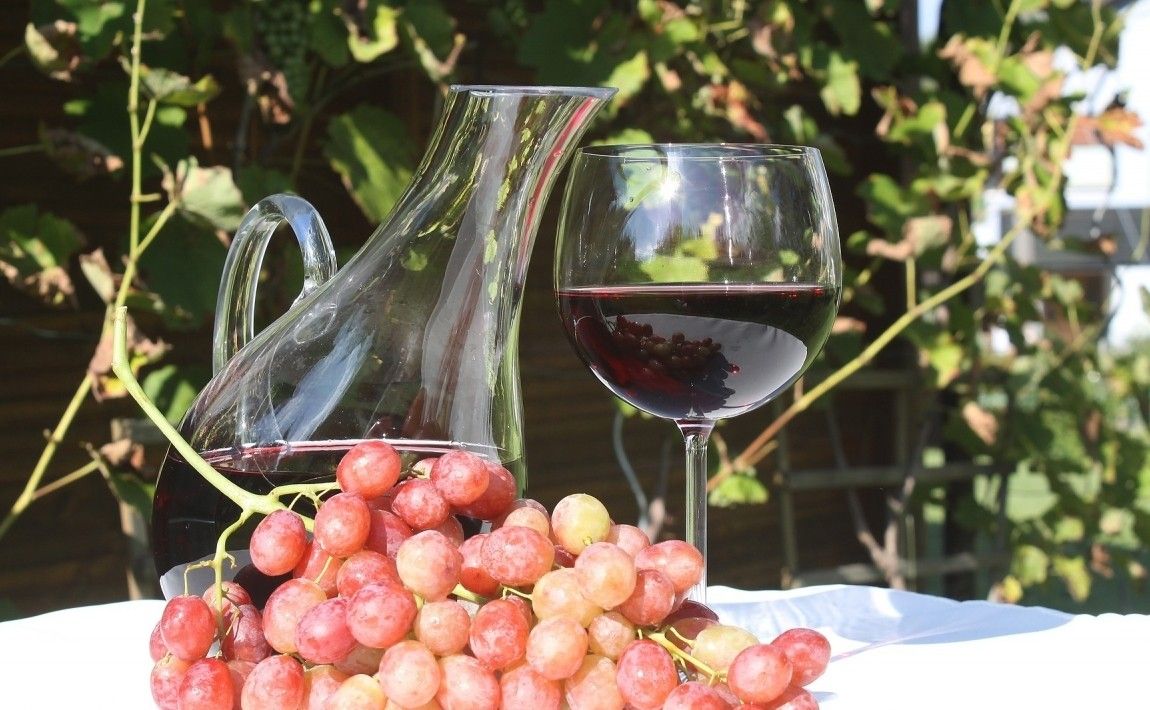 Как сделать вино из винограда. Делаем домашнее вино шаг за шагом - E-garden