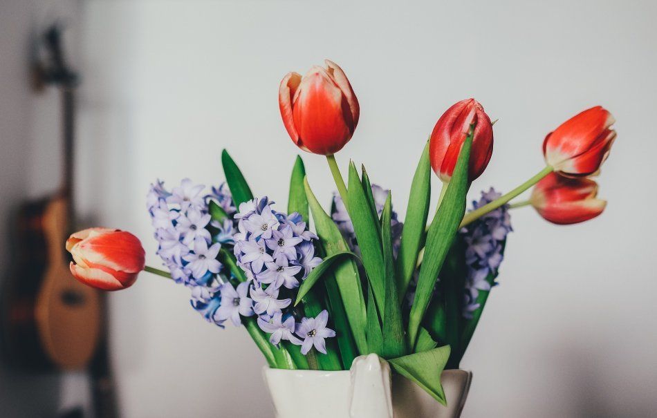 Красные тюльпаны и синие гиацинты