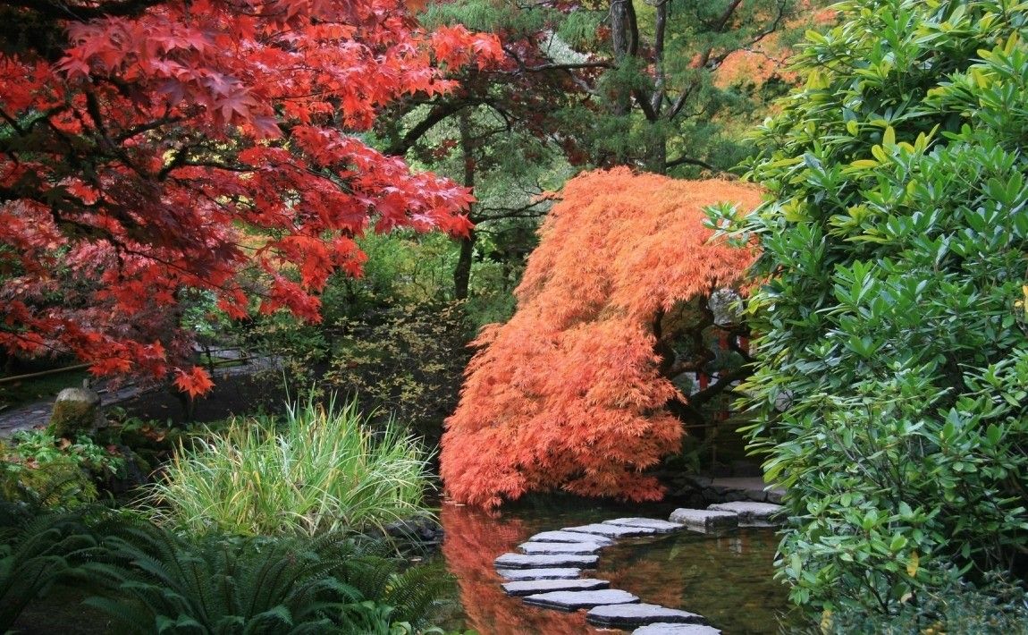 Как настроить японский сад - E-garden