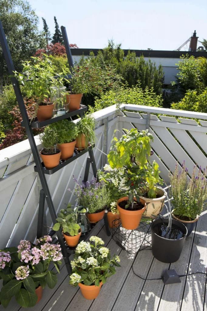 Автоматическая лейка для балконных растений
