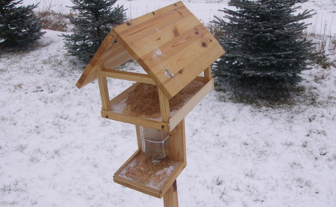 Как построить кормушку для птиц - E-garden