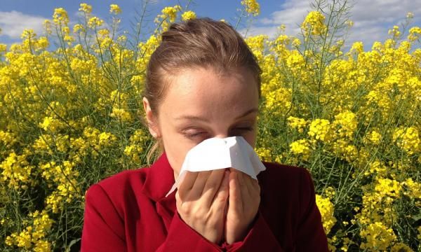 Пыльцевой календарь. Какие растения и когда они вызывают аллергию