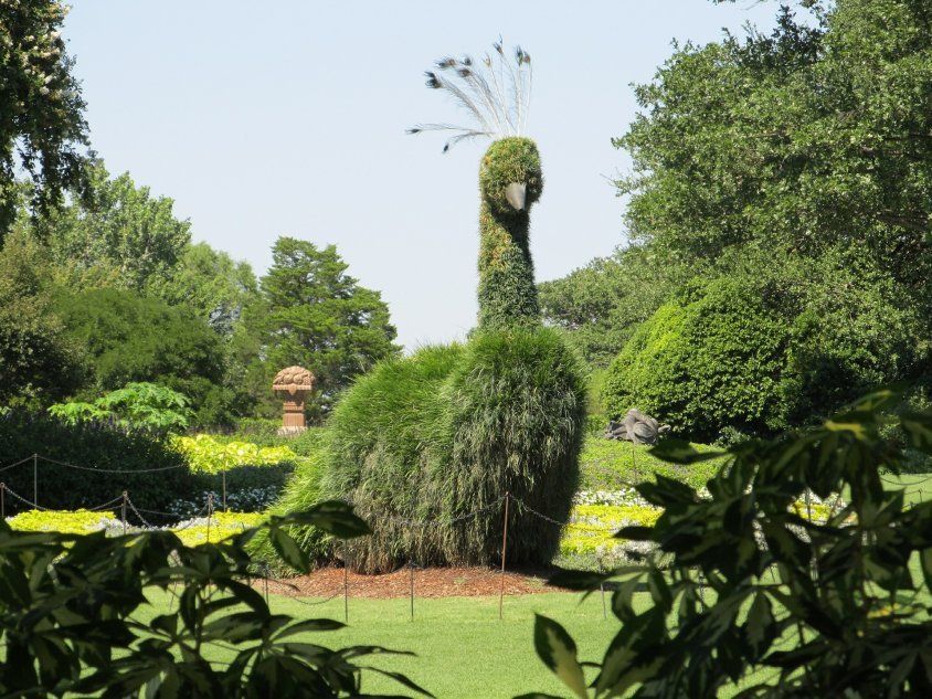 Садовая скульптура - павлин