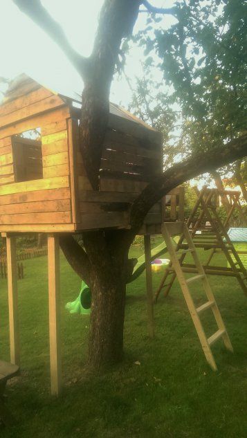 Строительство дома на дереве