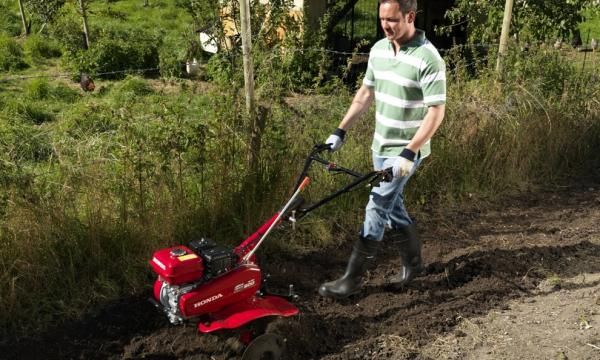 Как подготовить почву в саду на весь сезон (ФОТО)