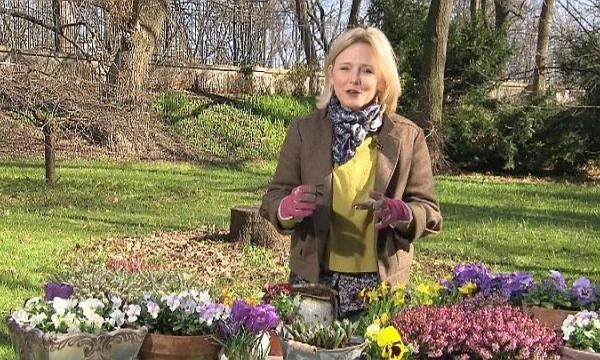 Майя Попелярска рекомендует, какие цветы сажать весной (видео)