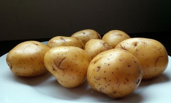 Соланина - яд, спрятанный в картофеле