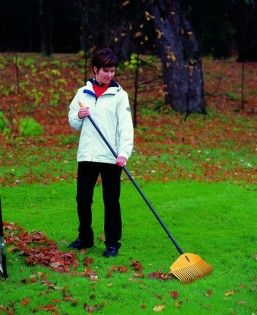 Сгребать осенние листья