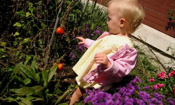 Дети в саду: мы готовим патч для маленьких садоводов