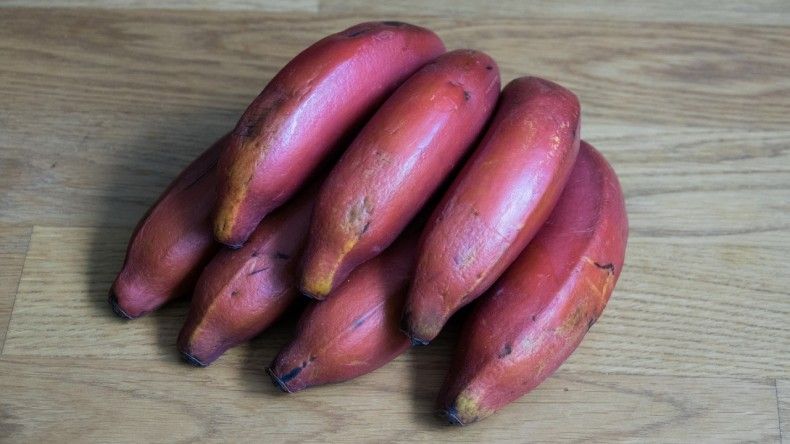 Спелые красные бананы