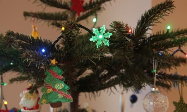 Что делать с елкой после Рождества? Мусорный бак - худший выбор