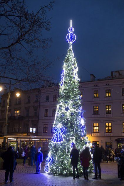 Рождественская елка в Кракове
