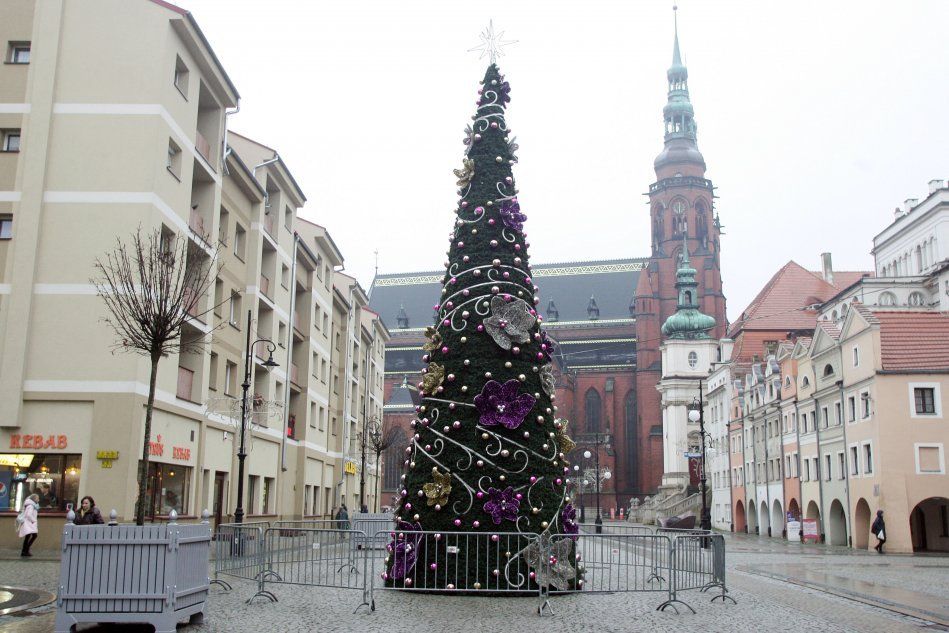 Рождественская елка в Легнице