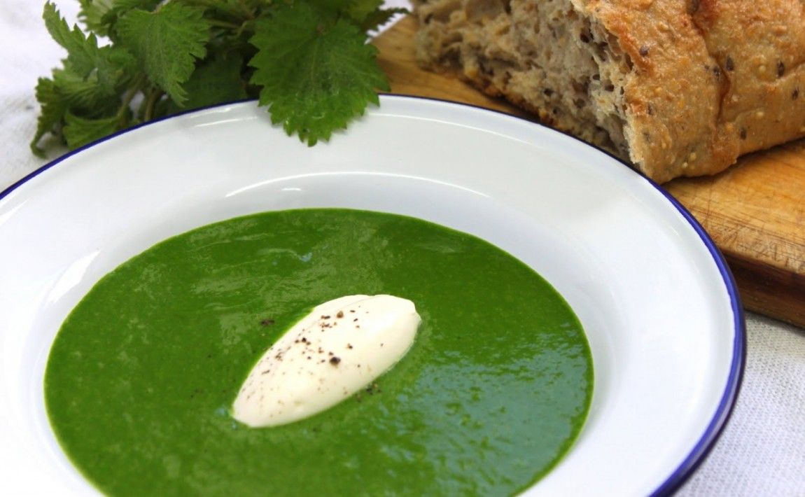 Суп из крапивы по-французски - E-garden