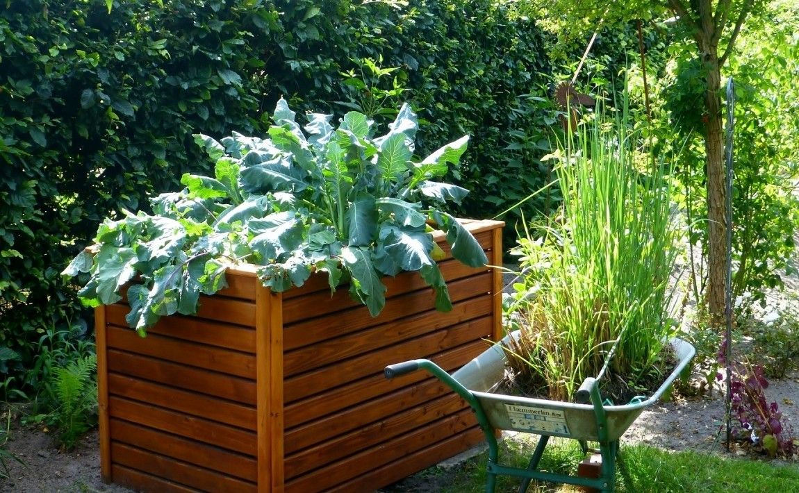 Выращивание овощей в ящиках - E-garden