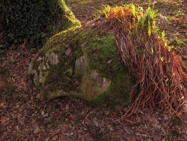 каменная скульптура, заросшая растениями