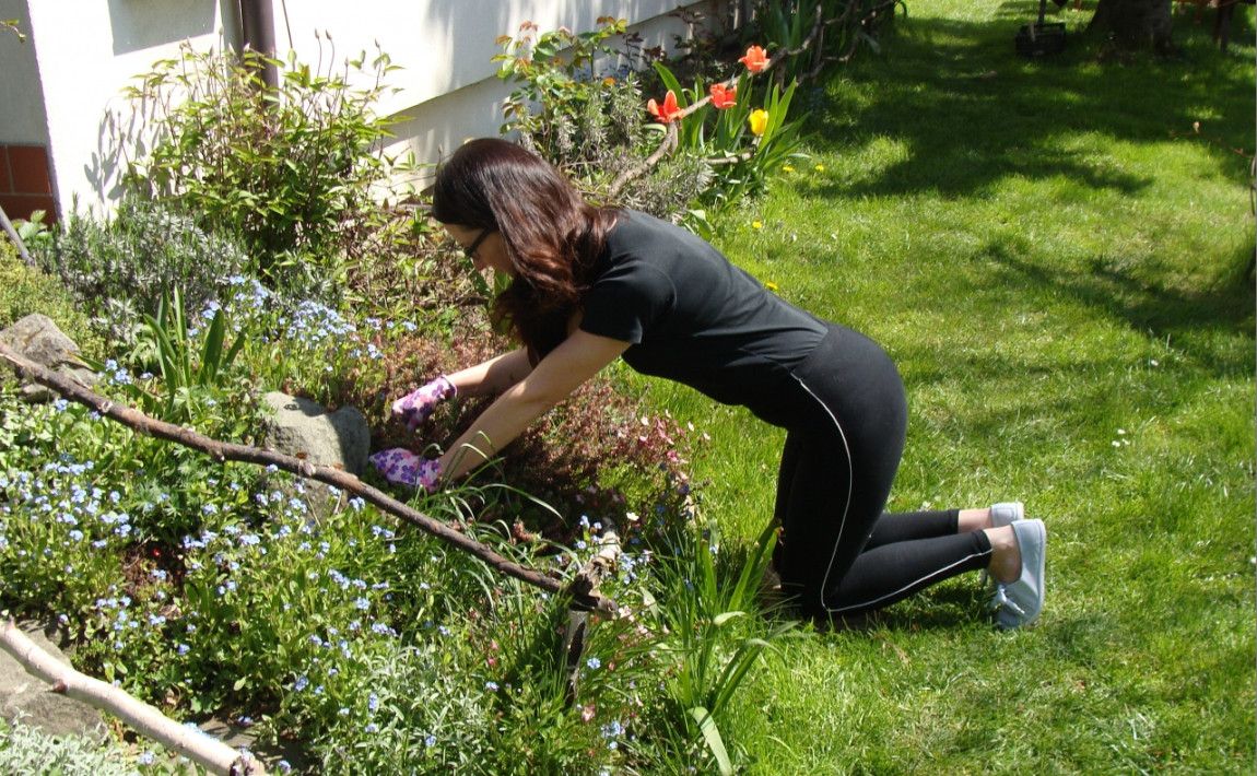 Как работать в саду, чтобы избежать болей в спине - E-garden