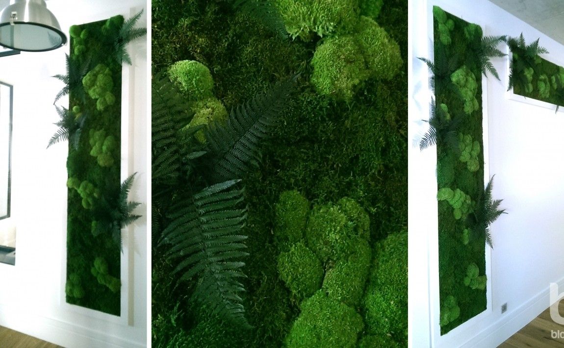 Оригинальные украшения из растений - зеленые стены и картины - E-garden