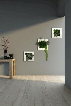Изображения с растений