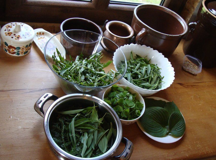 Салат с различными сорняками - ингредиенты