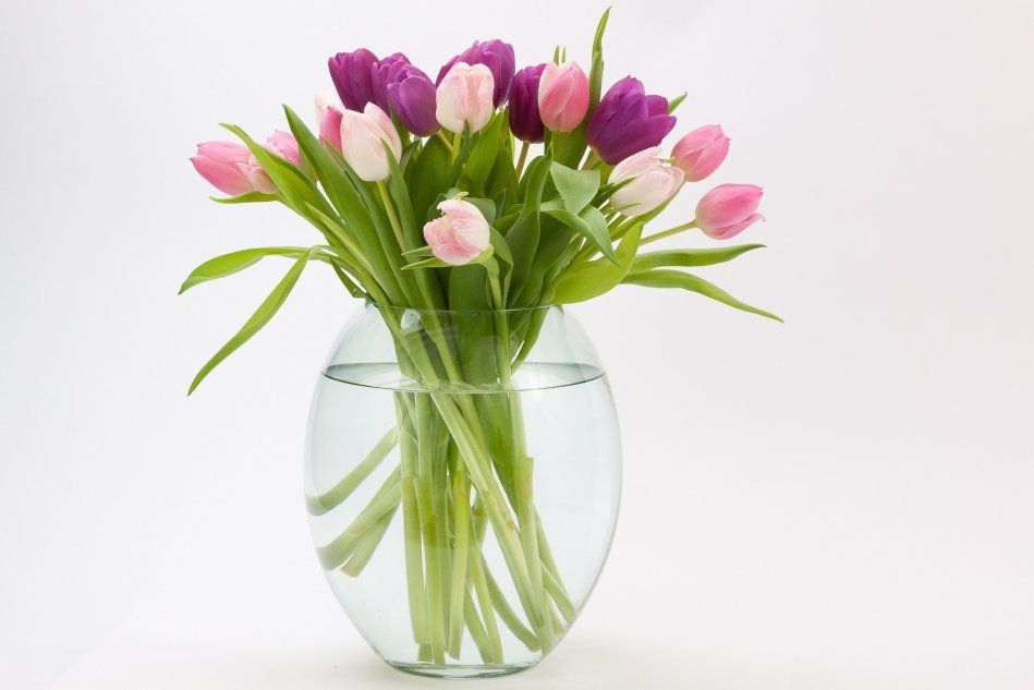 Тюльпаны в розовых и фиолетовых оттенках